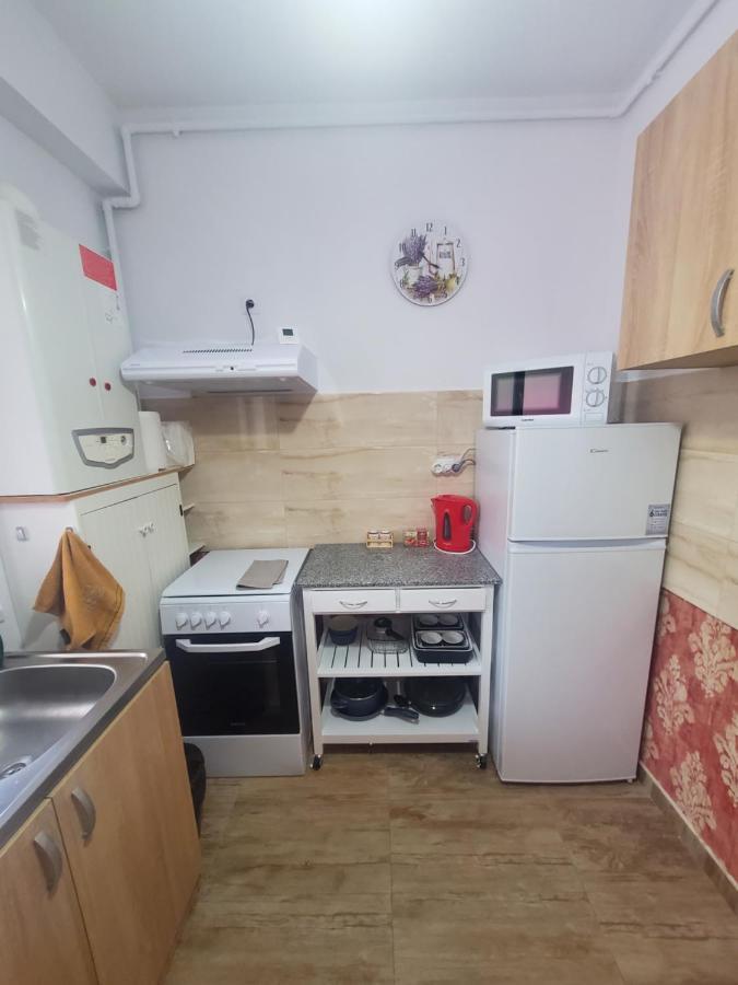 Morii Lake Special Apartment Bukarest Eksteriør billede